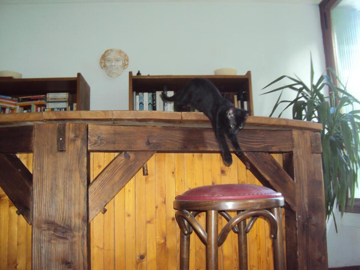 El Gato Negro Bed and Breakfast Montignac-Lascaux Eksteriør billede
